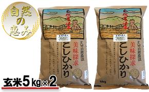 自然農法米こしひかり「自然の恵み」玄米5kg×2個《特別栽培米》