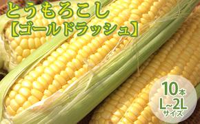 【2025年8月～発送】北海道 富良野産 とうもろこし ≪ゴールドラッシュ≫ L～2Lサイズ 10本 沖縄 離島不可 (鷲見農園) とうもろこし とうきび コーン 野菜 新鮮 甘い ジューシー 贈り物 ギフト 道産 直送 ふらの