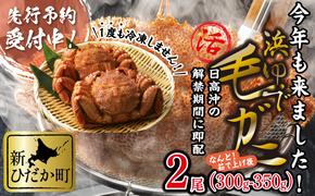 ＜2025年1月中旬から順次発送＞ 北海道産 かに 浜ゆで 毛がに 2尾 計 600g 以上 ＜ 予約商品 ＞ 毛蟹 毛ガニ 北海道 冷蔵 毛蟹 毛ガニ けがに かに 蟹 カニ かに味噌 カニ味噌 新鮮 旬 ボイル 浜茹で 海鮮 海産物 新鮮 旬 魚介 蟹味噌 みそ 新ひだか町