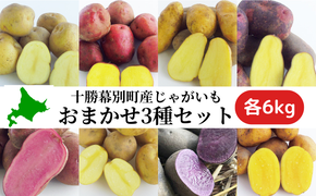 十勝幕別町産じゃがいも18kg（おまかせ3種各6kg）【渡邊農場】[2025年11月出荷開始] 野菜 ジャガイモ 
