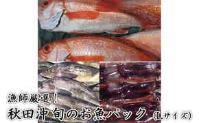 にかほ市の漁師厳選！秋田沖の旬のお魚パック！（Lサイズ・3～4人前）