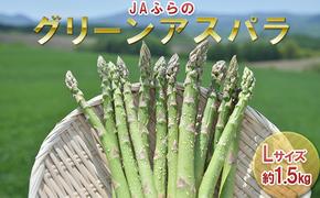 【2025年4月上旬より発送】北海道 富良野市産 グリーン アスパラ Lサイズ 約1.5kg 秀品 150g×10束 (JAふらの) 野菜 新鮮 直送 朝採り アスパラガス 道産 北海道 ふらの 小分け アスパラ 