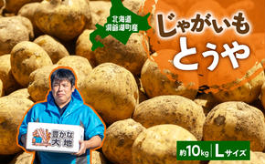 北海道産 青野農園 じゃがいも とうや Lサイズ 約10kg 10月初旬～12月中旬頃お届け 北海道 ジャガイモ トウヤ 馬鈴薯 ポテト 芋 いも イモ 黄色 旬 野菜 農作物 産地直送 お取り寄せ 送料無料