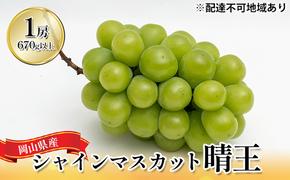 ぶどう 2025年 先行予約 シャイン マスカット 晴王 1房（1房670g以上）化粧箱入り マスカット ブドウ 葡萄  岡山県産 国産 フルーツ 果物 ギフト