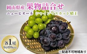 ぶどう 2025年 先行予約 果物 詰合せ ニュー ピオーネ 1房（1房470g以上）シャイン マスカット 晴王 1房（1房470g以上） 化粧箱入り 岡山県産 国産 フルーツ ギフト 