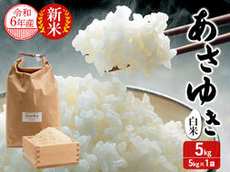 新米 令和6年産 あさゆき 白米 5kg 1袋 米 精米 こめ お米 おこめ コメ ご飯 ごはん 令和6年 H.GREENWORK 青森 青森県