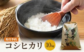 米 令和6年産 コシヒカリ 10kg 白米 精米 こめ コメ 一等米 特A 特a米 新米 こしひかり 山心ファーム 福井 福井県 若狭町