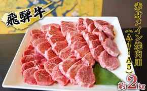 飛騨牛　赤身メイン焼肉用　A4～A5等級使用　マルイおまかせ約2kg（500g×4p）