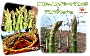 【2025年4月～出荷】朝採り ハウス グリーン アスパラ 1kg＆アスパラ キッシュ 北海道 富良野市 (バリアフリーの宿＆カフェ いつか富良野へ) 野菜 新鮮 直送 朝採り アスパラガス 道産 北海道 ふらの 