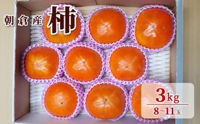 柿 3kg 朝倉 ぱぁ～しもん屋の柿 化粧箱入り