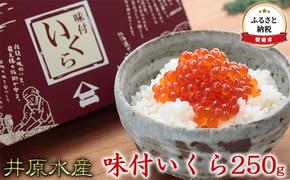 いくら 北海道 醤油漬け 味付いくら 250g 井原水産 イクラ 鮭 北海道産 北海道産いくら 鮭いくら いくら醤油漬け 海鮮 魚介類 魚介 海産物 ごはんのお供 冷凍 おかず 加工食品 魚卵