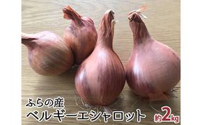 【2024年10月～発送】希少！香味 野菜 ベルギーエシャロット ふらの産 約2kg 北海道 富良野市 (岡本ファームズ) 新鮮 玉ねぎ 直送 道産 ふらの 送料無料 数量限定 先着順 