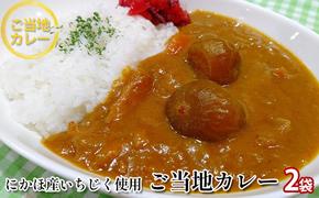 ご当地カレー《ダイニングぶなの森オリジナル》にかほ名産 フルーティーないちじくのカレー（レトルト）220g×2個