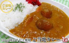 ご当地カレー《ダイニングぶなの森オリジナル》にかほ名産 フルーティーないちじくのカレー（レトルト）220g×1個