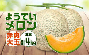 【 2025年発送 】先行予約 北海道 赤肉メロン 大玉 約2kg 2玉 メロン 赤肉 果物 フルーツ 甘い 完熟 スイーツ デザート 産直 国産 贈答品 お祝いギフト羊蹄山 JAようてい