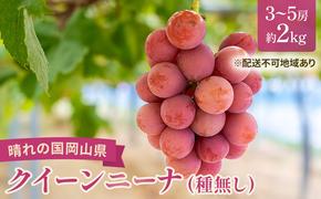 【2025年先行予約】 ぶどう 岡山県産 クイーンニーナ （ 種無し ）約2kg（3～5房） 《2025年9月上旬-下旬頃出荷》 葡萄 ブドウ フルーツ 果物 スイーツ 数量限定 期間限定 岡山 里庄町