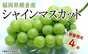 シャインマスカット 4房 正箱(約1.8kg)★(有)ティース[配送不可:沖縄・離島] 果物類 ぶどう フルーツ ブドウ