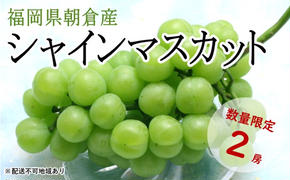 シャインマスカット 2房 化粧箱(約1〜1.2kg)★(有)ティース[配送不可:沖縄・離島] 果物類 ぶどう ブドウ フルーツ