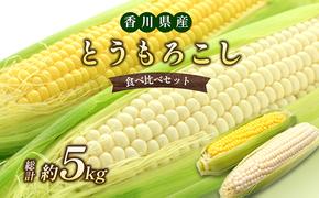 とうもろこし食べ比べセット　約5kg 野菜 野菜セット とうもろこし イエローコーン ホワイトコーン 詰合せ 