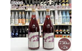 加西市産ゴールデンベリーA を使用した赤ワイン 750ml×2本 コタニ