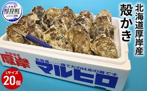 厚岸産 殻かき L20個セット 北海道 牡蠣 カキ かき  生牡蠣 殻付