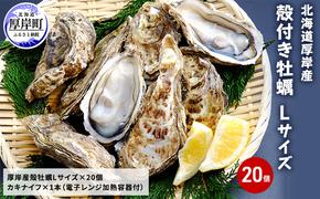 厚岸産 殻付き牡蠣Ｌサイズ20個入(加熱容器付)北海道 牡蠣 カキ かき 生食 生食用 ミルク レンジ