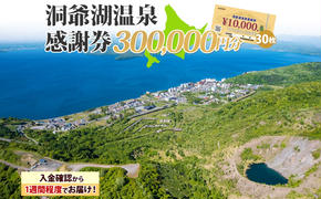 洞爺湖温泉感謝券 300000円 分 金券 クーポン 洞爺湖 湖 温泉 リゾート 有珠山 火山 自然 花火 イルミネーション 旅行 観光 宿泊 施設 北海道