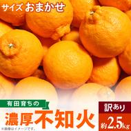 AB7055n_(先行予約)有田育ちの濃厚 不知火 (デコポンと同品種)（訳あり 家庭用）2.5kg (サイズおまかせ)