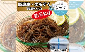 【嘉保水産】勝連産・太もずく（塩蔵タイプ）約5kg　プラスチック容器入り