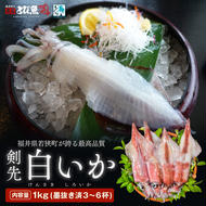 期間限定 剣先イカ 3～6杯 セット 詰め合わせ スミ抜き 冷凍 白イカ イカ 烏賊 いか 魚介 魚介類 海鮮 海鮮セット 限定 福井 福井県 若狭町