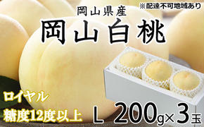 桃 2025年 先行予約 岡山 白桃 ロイヤル 3玉×約200g（Lサイズ） JA おかやま のもも（早生種・中生種） もも モモ 岡山県産 国産 フルーツ 果物 ギフト