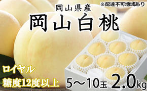 桃 2025年 先行予約 岡山 白桃 ロイヤル 5～10玉 約2kg JA おかやま のもも（早生種・中生種） もも モモ 岡山県産 国産 フルーツ 果物 ギフト