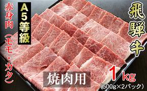 牛肉 飛騨牛 焼き肉 セット 赤身 モモ 又は カタ 1kg 黒毛和牛 Ａ5 美味しい お肉 牛 肉 和牛 焼肉 BBQ バーベキュー 【岐阜県輪之内町】