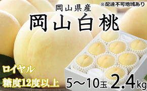 桃 2025年 先行予約 岡山 白桃 ロイヤル 5～10玉 約2.4kg JAおかやまのもも（早生種・中生種） もも モモ 岡山県産 国産 フルーツ 果物 ギフト 