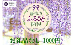 お礼の品なし 藤枝市応援寄附金(1000円単位でご寄附）