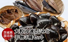 涸沼産 大粒 冷凍 シジミ 1.5kg 干物 3点セット （サバ ホッケ 目光） しじみ 蜆 大和しじみ ヤマトシジミ 大玉 砂抜き済 冷凍 味噌汁 スープ 魚貝類 貝 オルニチン コハク酸 サバ ホッケ 目光 小分け