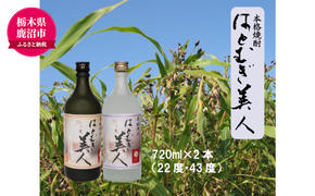 【栃木県 鹿沼市産】 本格焼酎 はとむぎ 美人 2本セット（22度・43度）各720ml×２本 酒 焼酎 麦 酒 米焼酎 