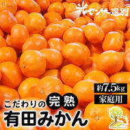 ＼光センサー選別／こだわりの有田みかん 約7.5kg 【ご家庭用】 有機質肥料100%
※2024年11月中旬頃～2025年1月頃に順次発送予定
※沖縄・離島への配送不可