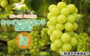 【 2025年 先行予約 】ぶどう 晴れの国 シャインマスカット 1房（700g以上） 定期便 3回 コース 《2025年9月-12月出荷》  葡萄 ブドウ 岡山県産 フルーツ 果物 数量限定 里庄町