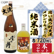 純米酒 720ml メロン リキュール ガルパン コラボ 720ml 2本 セット 大洗 地酒 日本酒 茨城 ガールズ ＆ パンツァー