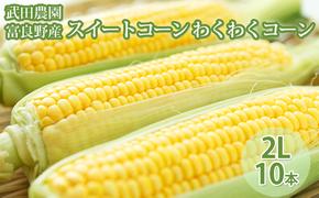 ［武田農園とれたて直送］スイートコーン わくわくコーン 2L 10本 みずみずしく抜群にあまい！北海道 富良野産 (とうもろこし 野菜 新鮮 とうきび 甘い 産地直送 先行予約 限定)