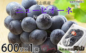 ぶどう 2025年 先行予約 ニュー ピオーネ 約600g×1房 6月下旬～7月下旬発送 ブドウ 葡萄  岡山県産 国産 フルーツ 果物 ギフト 果物類 種なし デザート 食後 おやつ 産地直送 