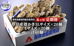 定期便 6ヶ月 北海道 厚岸産 牡蠣 3L 20個 と L 20個 ひと月あたり40個お届け (各回40個×6ヶ月分,合計240個) 殻付き 生食 かき カキ