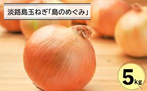 淡路島玉ねぎ「島のめぐみ」5キロ