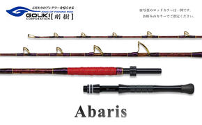 剛樹 アバリス235 （ABARIS 235SS） 235cm ウェイト負荷100-300号 釣り 釣具 釣竿 ロッド