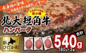 北海道産 北大 短角牛 ハンバーグ 計 540g (180g×3枚) 