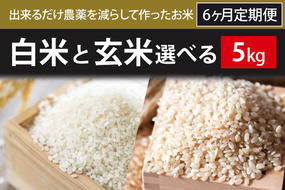 BI-78 【2024年9月下旬より順次発送】6ヶ月定期便【できるだけ農薬を減らして作ったお米】こしひかり　5kg×6回（白米または玄米）
