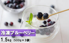 【数量限定】ブルーベリー 冷凍 500g×3袋 1.5kg [農林産物直売所 美郷ノ蔵 宮崎県 美郷町 31ab0091] 手摘み ヨーグルトに ピッタリ 宮崎県産 産 送料無料 お菓子 おやつ 朝ご飯 朝ごはん 小分け 数量限定