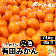 ＼光センサー選別／こだわりの有田みかん 約6kg 【ご家庭用】 有機質肥料100%
※2024年11月中旬頃～2025年1月頃に順次発送予定
※沖縄・離島への配送不可