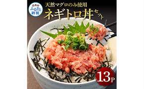 KGP031　天然マグロのタタキ丼セット 65g×13パック 高知県 返礼品 12000円 海鮮 天然 まぐろたたき まぐろ ネギトロ丼 海鮮丼 お寿司 軍艦巻き 手巻き寿司 おかず 使いやすい 便利 かんたん 冷凍 小分け 個食 一人暮らし お手軽 おいしい 赤身 13人前 どんぶり